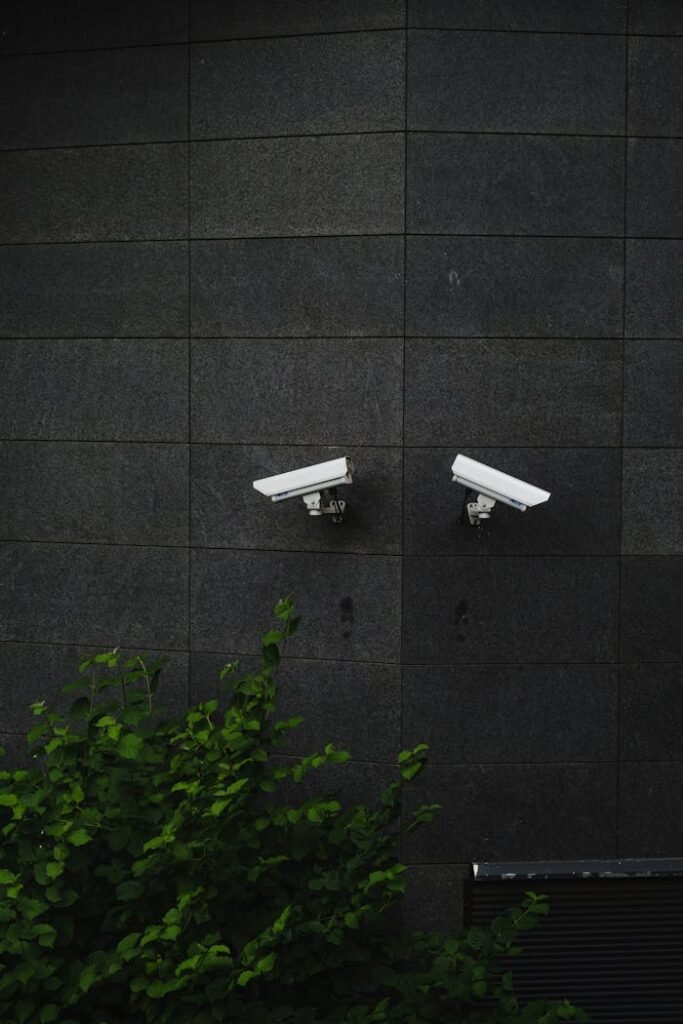 pexels-photo-9301020 Two security cameras mounted on a dark tiled wall, symbolizing protection and surveillance.